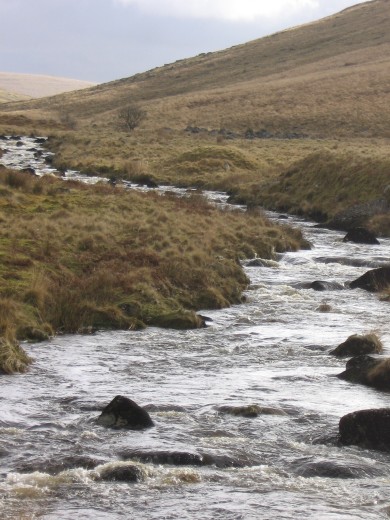 West Okement river