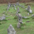 The Graveyard, Stone Rows, Cosdon