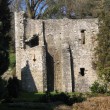  Gidleigh Castle