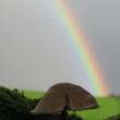 Rainbow near Lanlivery