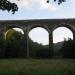 Early train, viaduct at Trenowth
