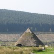Reconstruction of Bronze age Roundhouse