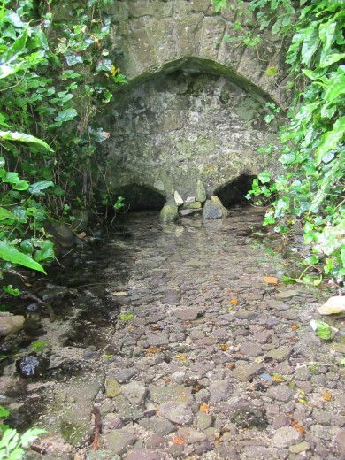 St Aldhelm's Well, Doulting