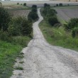 Byway across the Downs, towards Avebury