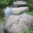 Stepping stones near Swallowhead Spring